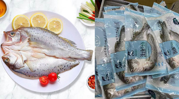 海鱼金属金属异物检测