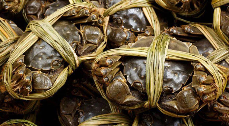 大闸蟹重量分拣